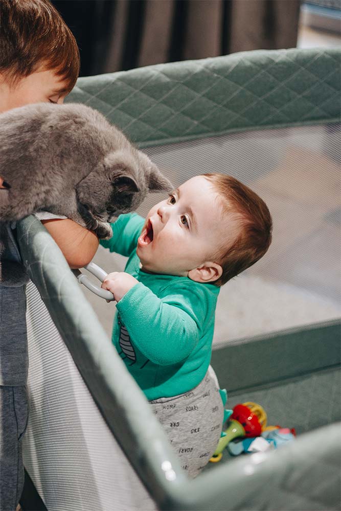 Kojec i mity: rozmowa ze sceptykiem 1